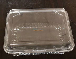 佛山吸塑包装厂 东莞区域知名的吸塑包装企业及其文化内涵